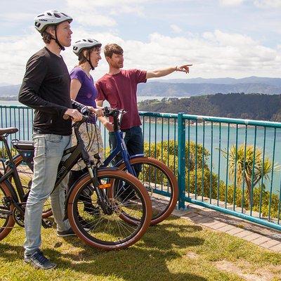 Guided Wellington Tour by Electric Bike