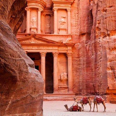 Private Petra Day Trip Including Dead Sea from Amman