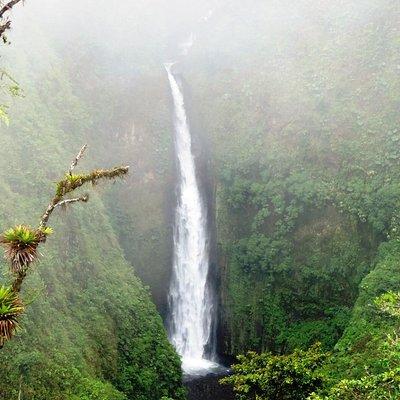 Arenal Volcano Experience Full-Day Tour from San Jose