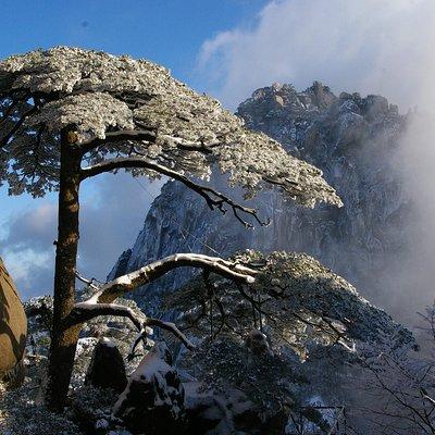 1 Day Mt Huangshan(Yellow Mountain) Group Tour-No Shopping