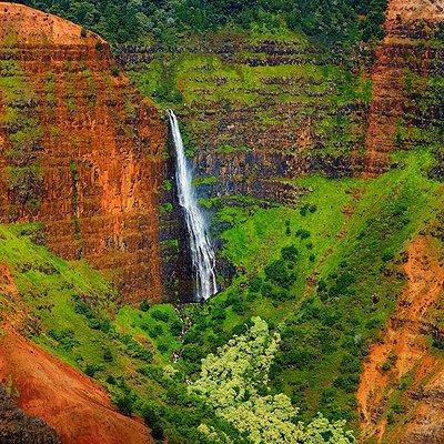 Kauai Waimea Canyon and Koke'e Tour with Lunch