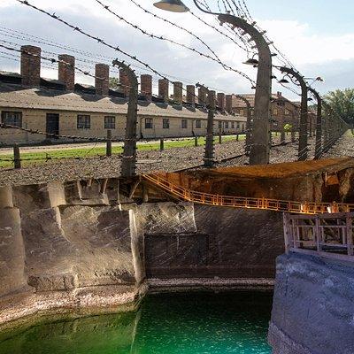 Super Saver: Auschwitz Birkenau & Wieliczka Salt Mine - Guide with Hotel Pickup