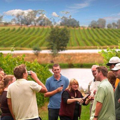 Yarra Valley Wine & Winery Tour from Melbourne - All Inclusive!