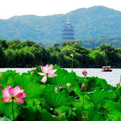 Private Hangzhou Day Tour from Shanghai by Bullet Train 