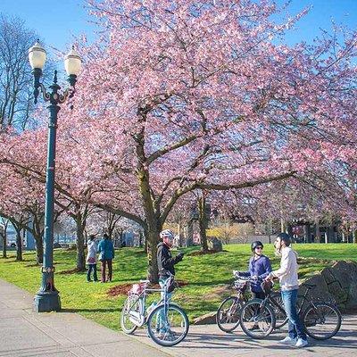 Essential Portland Oregon Bike and E-Bike Tour!