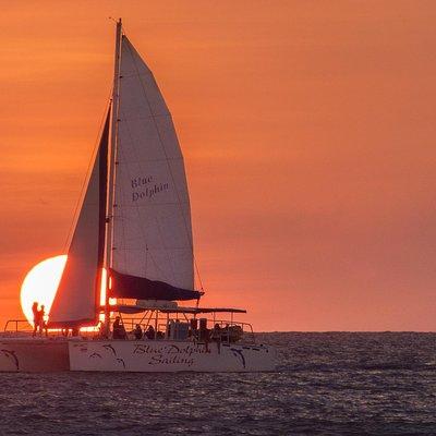 Blue Dolphin - Public Catamaran Tour