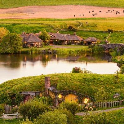 Hobbiton Movie Set Tour with lunch from Auckland