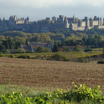 Carcassonne and Albi Private Sightseeing Tour from Toulouse