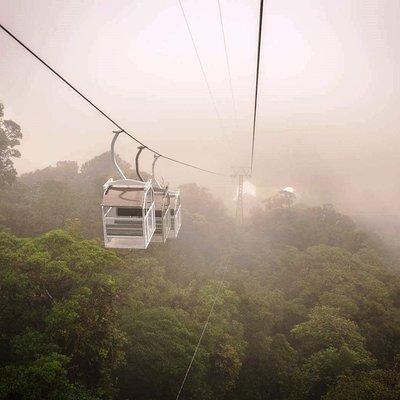 Monteverde Sky Tram & Hanging Bridges Cloud Forest Tour from San Jose