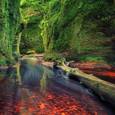 Find a hidden Glen in Scotland's woods