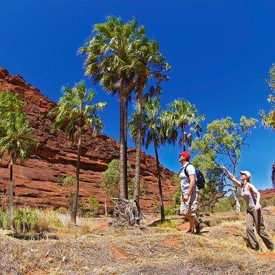 Palm Valley 4WD Tour from Alice Springs