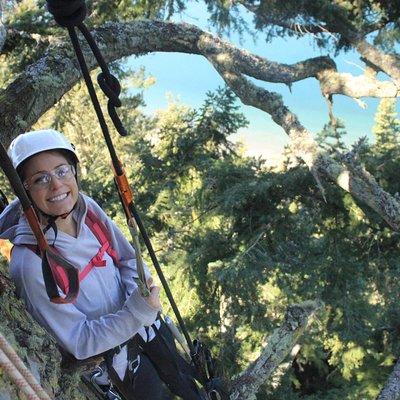 Tree Canopy Climbing on Lopez Island