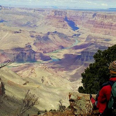 Comprehensive Grand Canyon Tour from Flagstaff w/Lunch