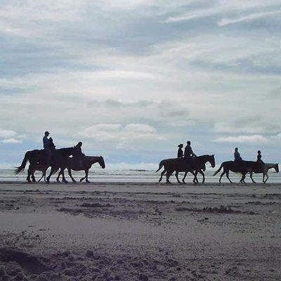 Las cañadas ecopark and horseback riding private tour