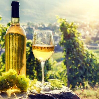 Alsace Full Day Wine Tour from Colmar