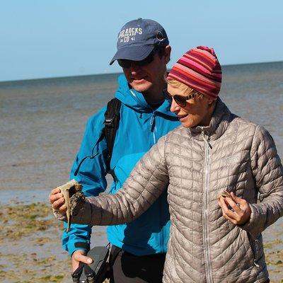 Everglades National Park Small Group Guided Boating & Walking Tour Expedition