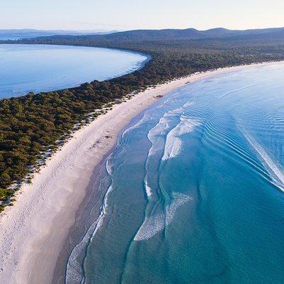 Maria Island Cruise and Guided Walk Day Tour with Lunch and Drinks