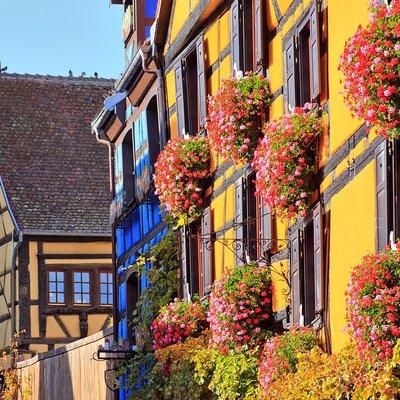 Alsace's Gems Small Group Day Tour from Colmar