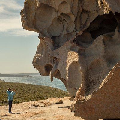 Kangaroo Island in a Day Tour from Adelaide