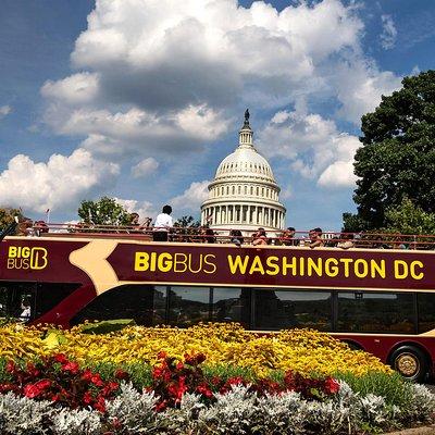 Big Bus DC: Hop-On Hop-Off Sightseeing Tour by Open-top Bus