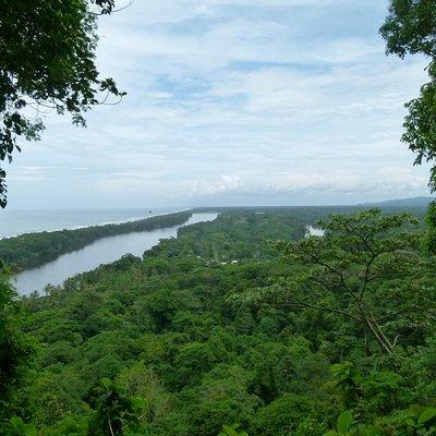 The best of Tortuguero: Canoe, hike and night tour (turtle in Jul-Oct)