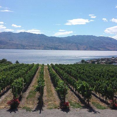 West Kelowna Gallery Of Grapes Wine Tour