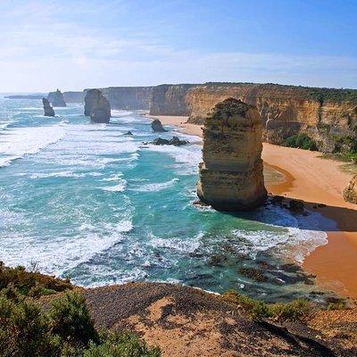 Great Ocean Road Small-Group Ecotour from Melbourne