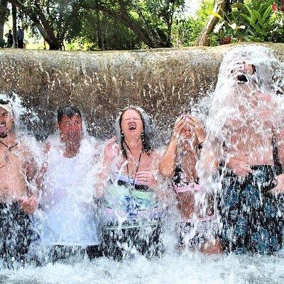 Nine Mile and Dunn's River Falls Day Trip from Montego Bay & Grand Palladium