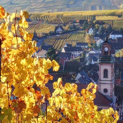 Alsace Half Day Wine Tour from Colmar