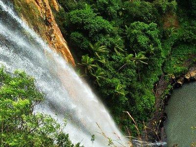 Rainforest & Waterfalls Experience