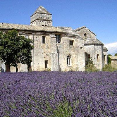Saint Remy of Provence & Les Baux de Provence Minivan Tour