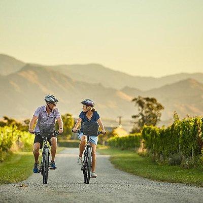 Private Biking Wine Tour (full day) in the Marlborough Region