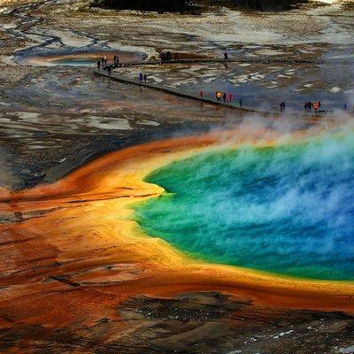 Private Upper Loop Tour of Yellowstone National Park