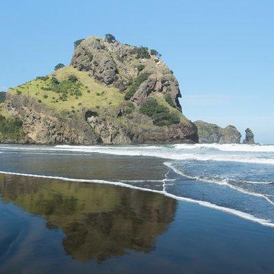 Coast and Rainforest Eco-Tour from Auckland with Lunch