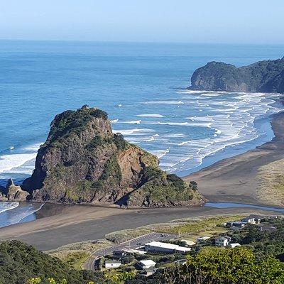 Afternoon Piha Beach and Rainforest Tour from Auckland