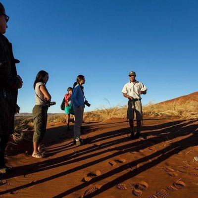 3 Day Sossusvlei Budget Camping Safari