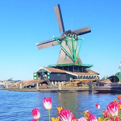 Private tour to Zaanse Schans &Volendam: Cheese, Windmills, clogs