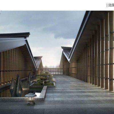 Wangsu 's Works of Architecture & Longjing Tea Field Private Tour