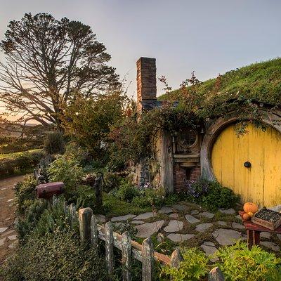Hobbiton & Waitomo Caves Guided Tour from Auckland with Lunch