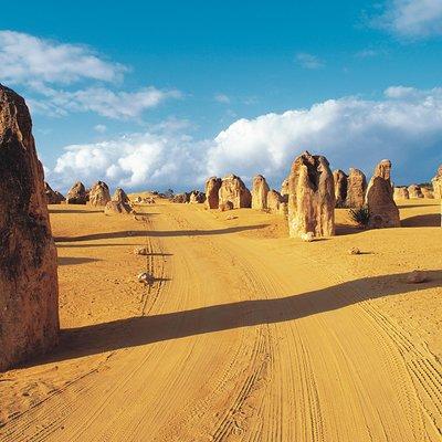 Pinnacles Desert, Koalas and Sandboarding 4WD Day Tour from Perth