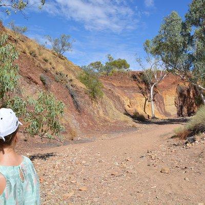 West MacDonnell Ranges Small-Group Full-Day Guided Tour