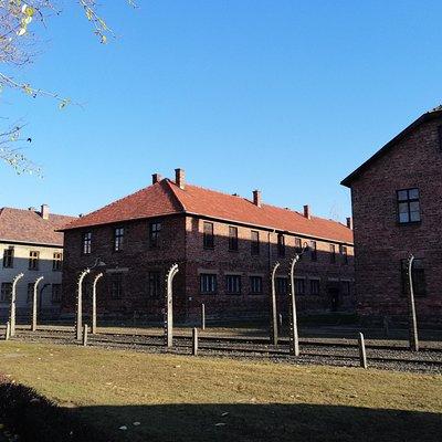 One Day Tour to Auschwitz-Birkenau from Warsaw by Car