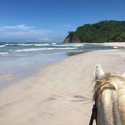 Safari & Barigona Beach on horseback