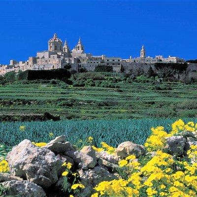 Mdina, Rabat, Dingli cliffs, San Anton gardens, Ta' Qali & Mosta guided tour