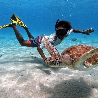 Curacao: Swimming with Sea Turtles and Grote Knip Beach Tour