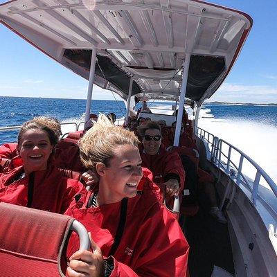 Adventure Rottnest Tour with Ferry & Adventure Cruise