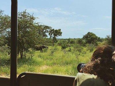 Kruger Park 1-day Safari from Maputo (Open-backed Safari Vehicle)