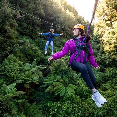 Ziplining Forest Experience - The Ultimate Canopy Tour Rotorua