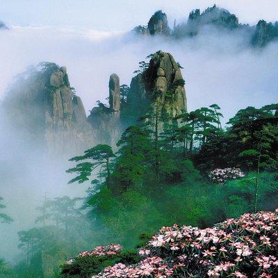 Private day tour to Mountain Huangshan with buffet Lunch and start from Tunxi 