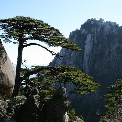 Private 2 days tour to visit Huangshan Mountain and Hongcun village 